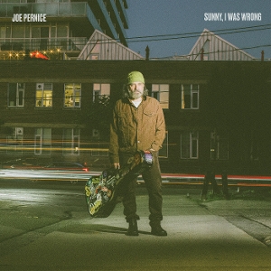 Sunny, I Was Wrong by Pernice, Joe