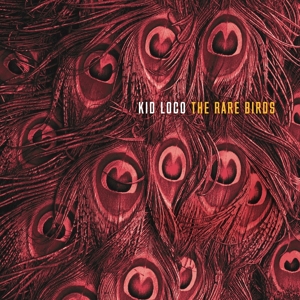 The Rare Birds by Kid Loco