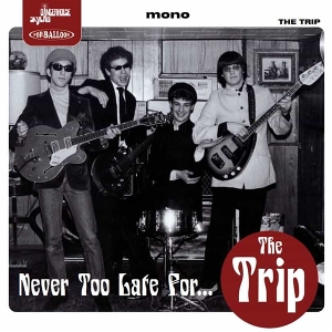 Never Too Late For... by Trip