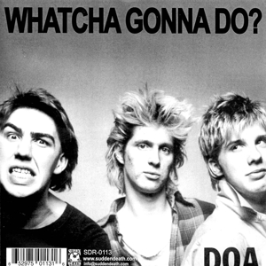 Image 2