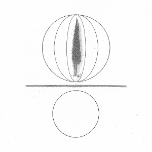 Spheres Collapser by O'Malley, Stephen