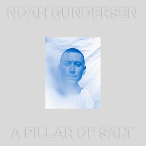A Pillar of Salt by Gundersen, Noah