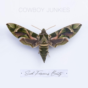 Such Ferocious Beauty by Cowboy Junkies