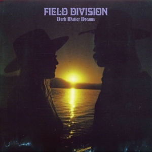 Dark Matter Dreams by Field Division