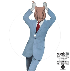 Animal Nitrate by Suede