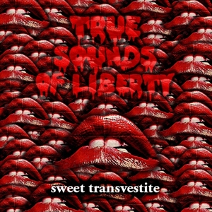 Sweet Transvestite by T.S.O.L.