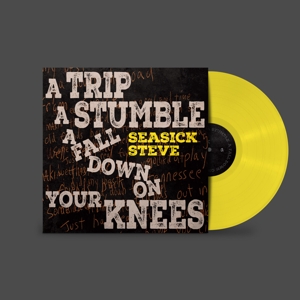 A Trip, a Stumble, a Fall Down On Your Knees by Seasick Steve