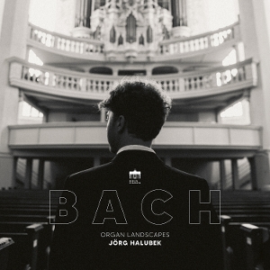Bach: Organ Landscapes by Halubek, Jorg