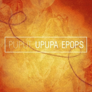 Upupa Epops by Puput
