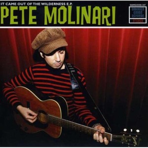 It Came Out of the Wil by Molinari, Pete