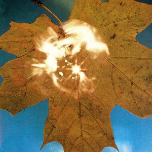 Force of the Wind by Soyuz