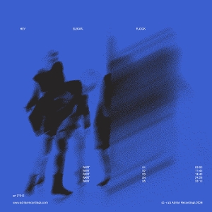 Flock by Hey Elbow