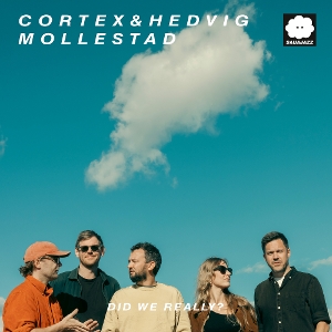 Did We Really? by Cortex & Hedvig Mollestad