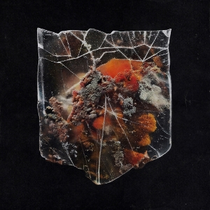 Death & Connection by Shields