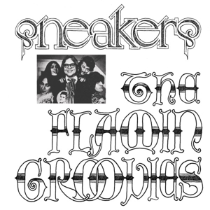 Sneakers (Blue) by Flamin Groovies
