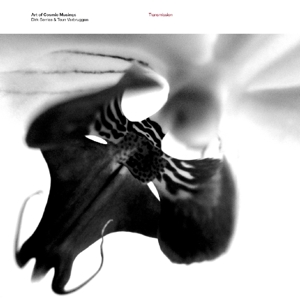 Transmission by Art of Cosmic Musings