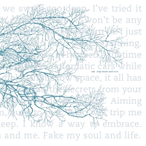 Sleep Dream Walk Enter by Oak