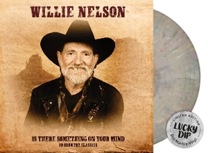 Is There Something On Your Mind by Nelson, Willie