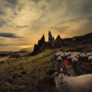 Sheeple by Carducci, Franck
