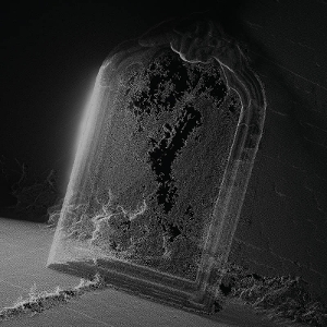 Paradessence by Visible Cloaks