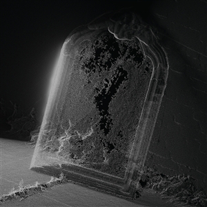 Paradessence by Visible Cloaks
