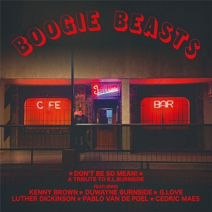 Don't Be So Mean by Boogie Beasts