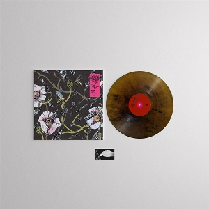 Inert by Rasmussen, Janus