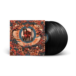 Live At Eden Project 25 / 07 / 2023 by Who