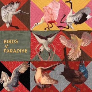 Birds of Paradise by Dollbaum, Thomas