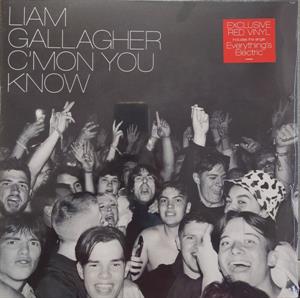 C Mon You Know by Gallagher, Liam