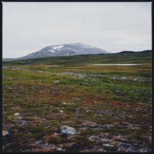 Gidge by Tundra