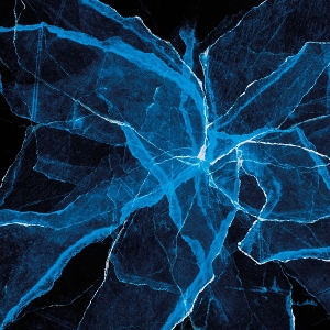 Shards by Moran, Jason & Marcus ...