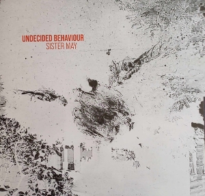 Undecided Behaviour