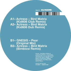 Bird Matrix by Actress
