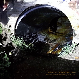 Reality and Other Imaginary Places by Radical Empathy Trio