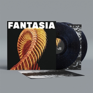 Fantasia by Slift