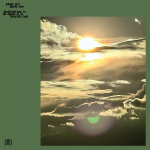 Manifestations In the Shadow of an Unertain Land by Lowe, Robert Aiki Aubrey