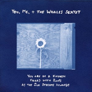 You Are In a Kitchen Filled With Plants As the Sun Streams Inwards by You, Me, + the Whales ...
