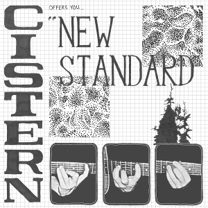 New Standard by Cistern