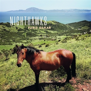 Paris Dakar by Nighthawks