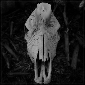 Cursed To Witness Life by Worsen