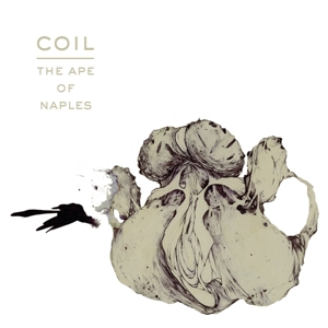 Ape of Naples by Coil