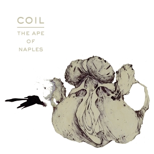 Ape of Naples by Coil