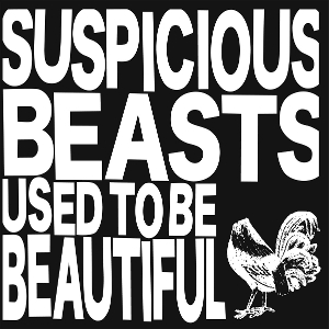 Used To Be Beautiful by Suspicious Beasts