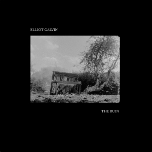 The Ruin by Galvin, Elliot
