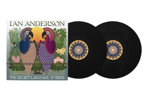 The Secret Language of Birds by Anderson, Ian