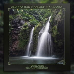 Navegando Al Paraiso by Snakes Don't Belong In...