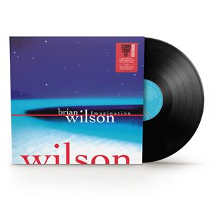 Imagination by Wilson, Brian