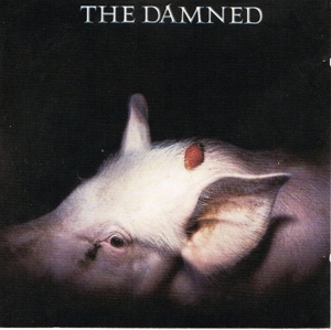 Strawberries by Damned