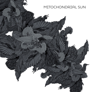 Mitochondrial Sun by Mitochondrial Sun